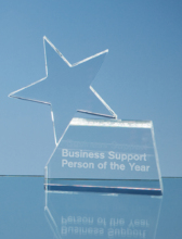 14cm Optical Crystal Single 'Rising Star' Award