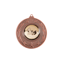 The Star Burst Medal Series