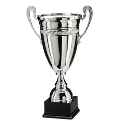 Trophies & Awards