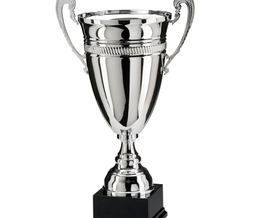 Trophies & Awards
